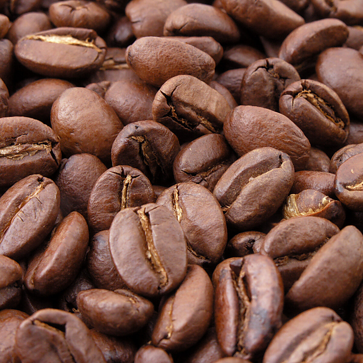 Café Venttura — El viaje también se comparte en una taza - Imagen 2